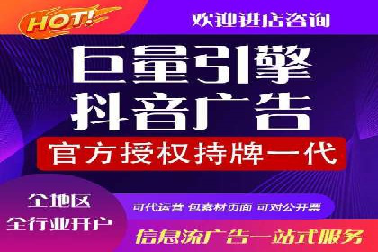 SEM推广优化策略：成功案例解析