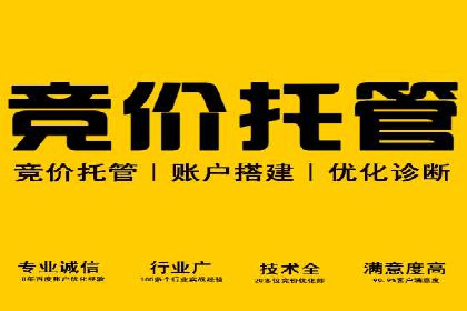 成功案例分享：SEM推广策略的制定与执行